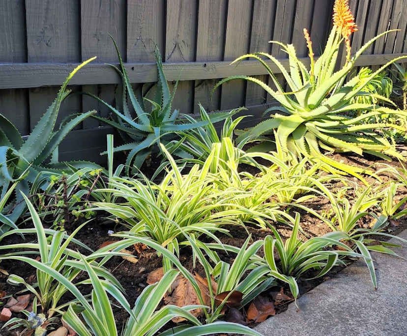 $360-400, Share-house, 2 rooms, St Kilda VIC 3182, St Kilda VIC 3182