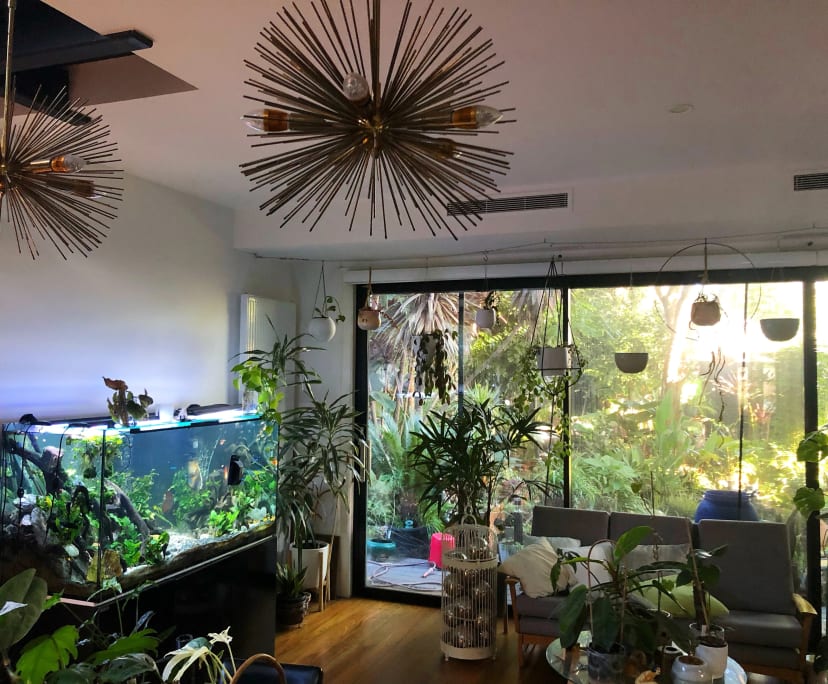 Furnished room with own bathroom