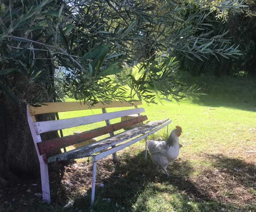 $280-300, Share-house, 3 rooms, Maylands WA 6051, Maylands WA 6051