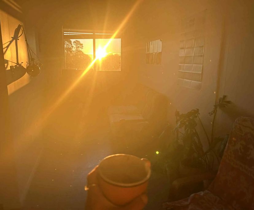 Room in a share house