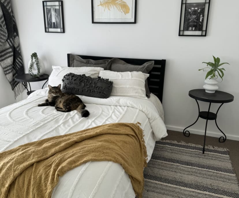 Room in a share house