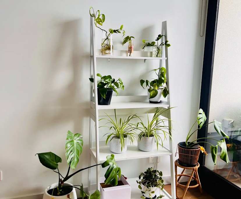 Room in a flatshare