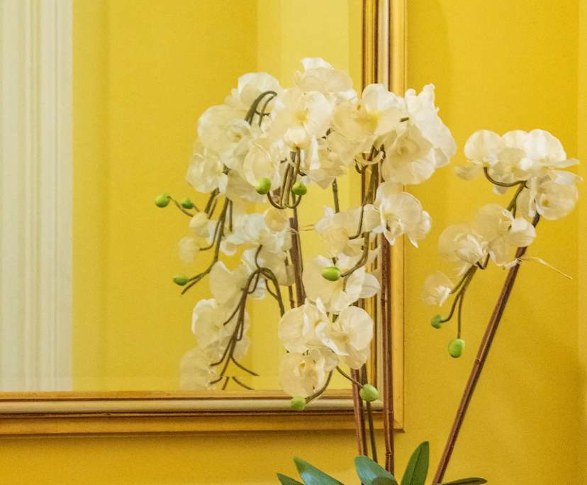 $500, Share-house, 6 bathrooms, Elwood VIC 3184