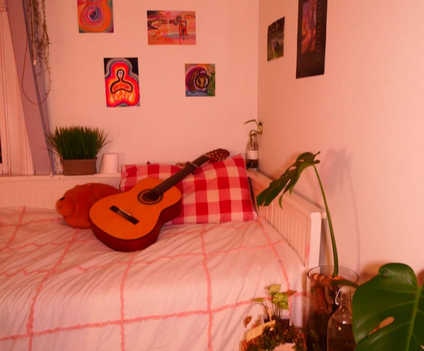 Room for Rent in Newtown, Sydney 260, Furnished,