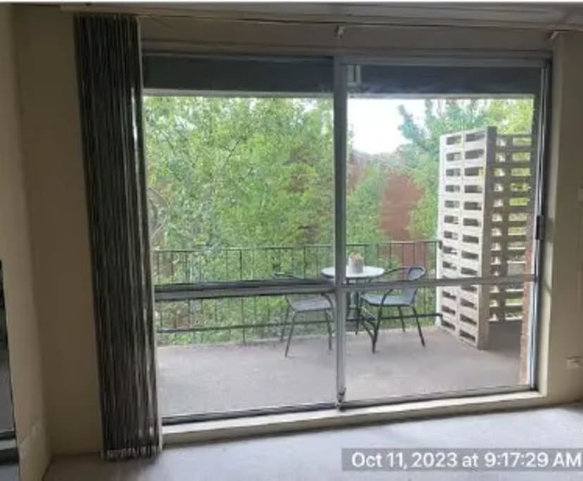 Whole Property for Rent in Griffith, Canberra 450...