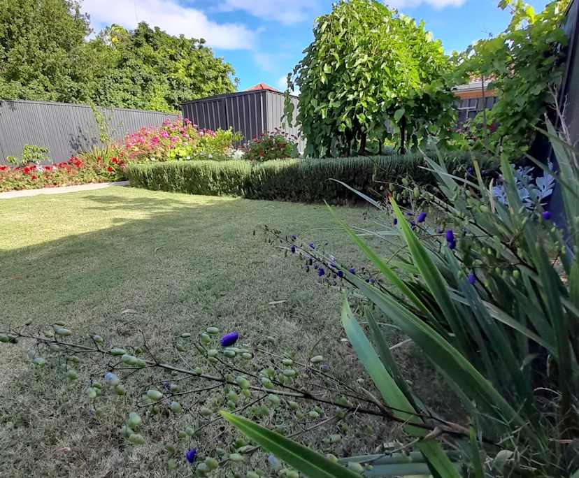 $300, Homestay, 4 bathrooms, Underdale SA 5032