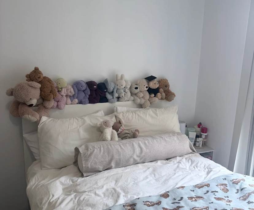 Furnished room in a flatshare