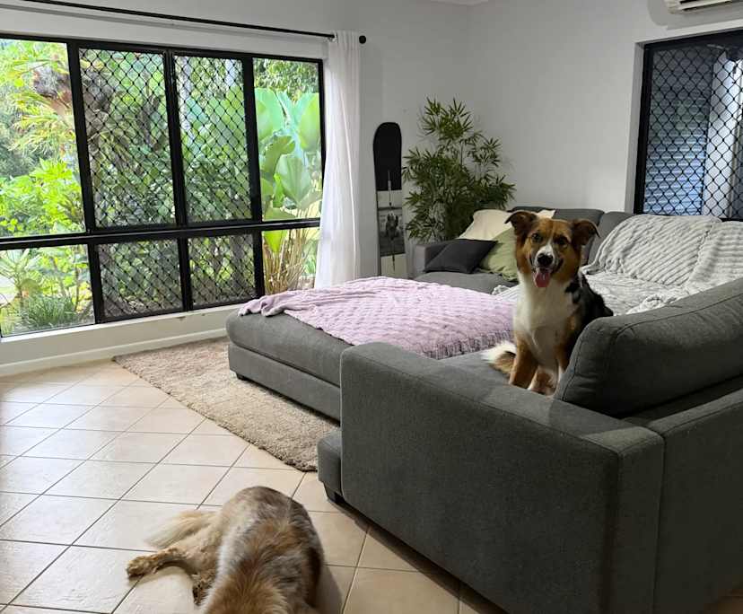 Furnished room with own bathroom