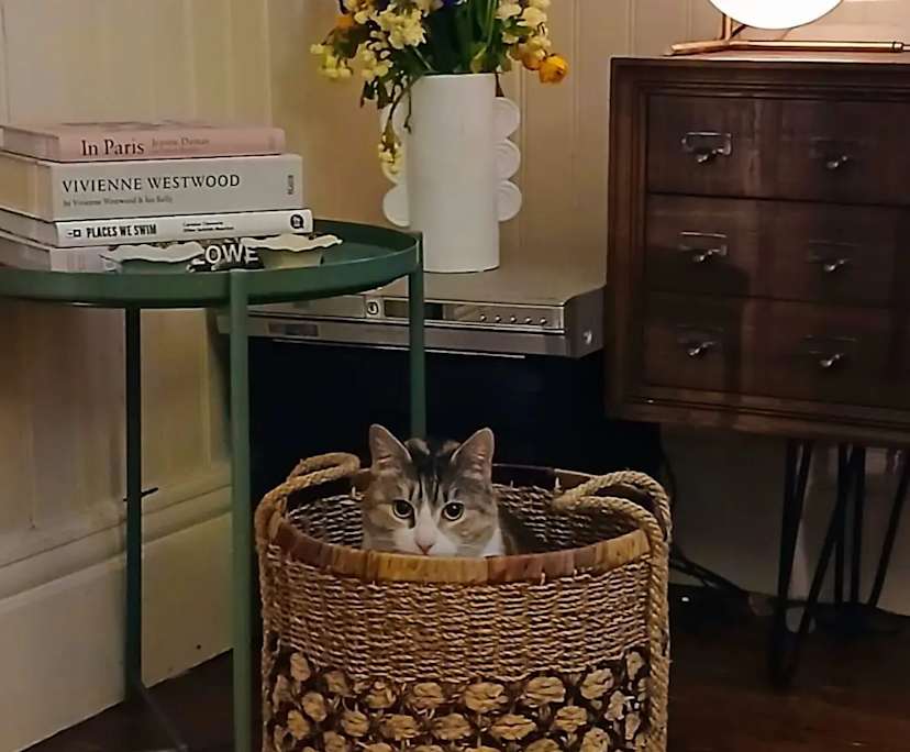 $234, Share-house, 3 bathrooms, Kensington VIC 3031