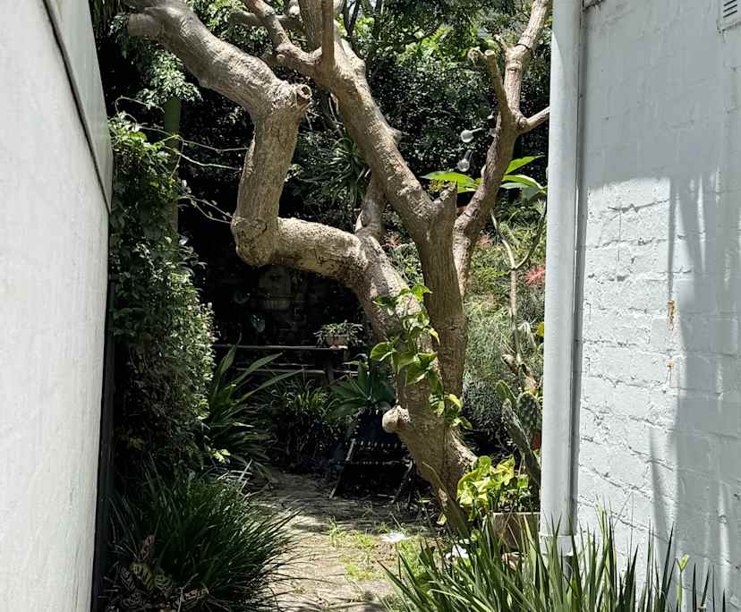 $680, Share-house, 2 bathrooms, Paddington NSW 2021