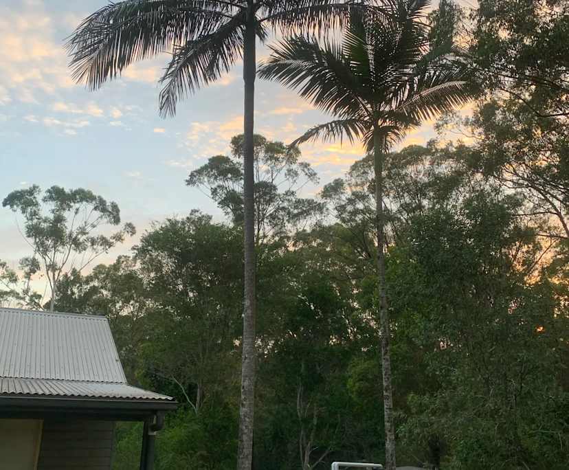 $350, Homestay, 2 bathrooms, Glass House Mountains QLD 4518