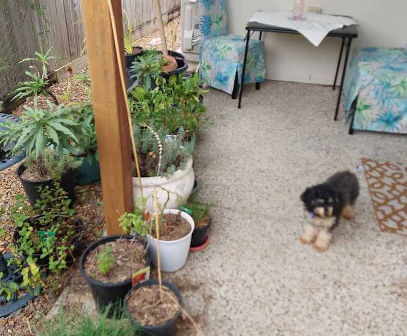 $320, Share-house, 2 bathrooms, Nambour QLD 4560