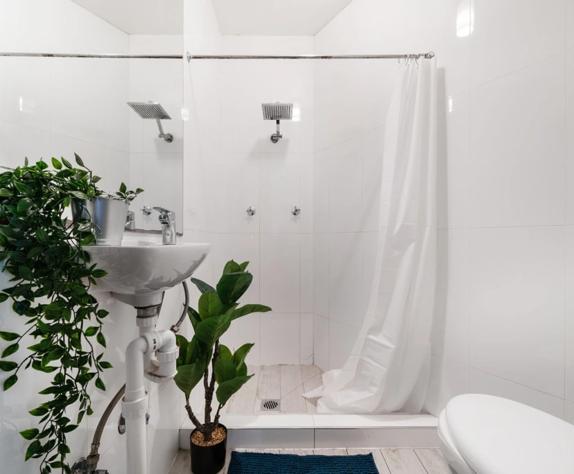 $195, Share-house, 6 bathrooms, Chippendale NSW 2008