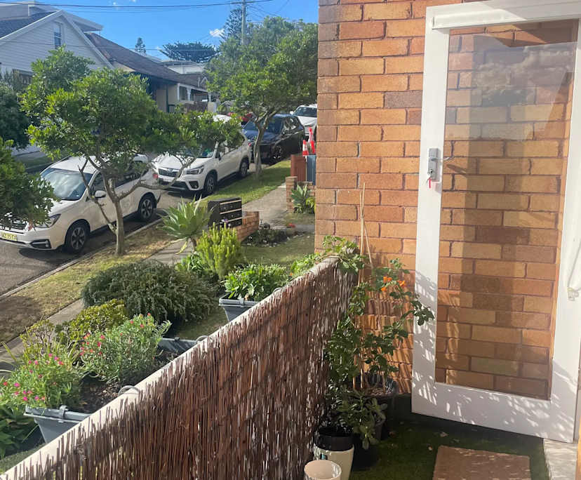 $650, Flatshare, 2 bathrooms, Clovelly NSW 2031