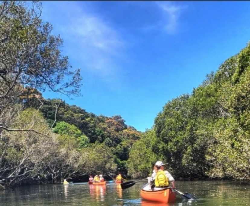 $550, Flatshare, 2 bathrooms, Wolli Creek NSW 2205