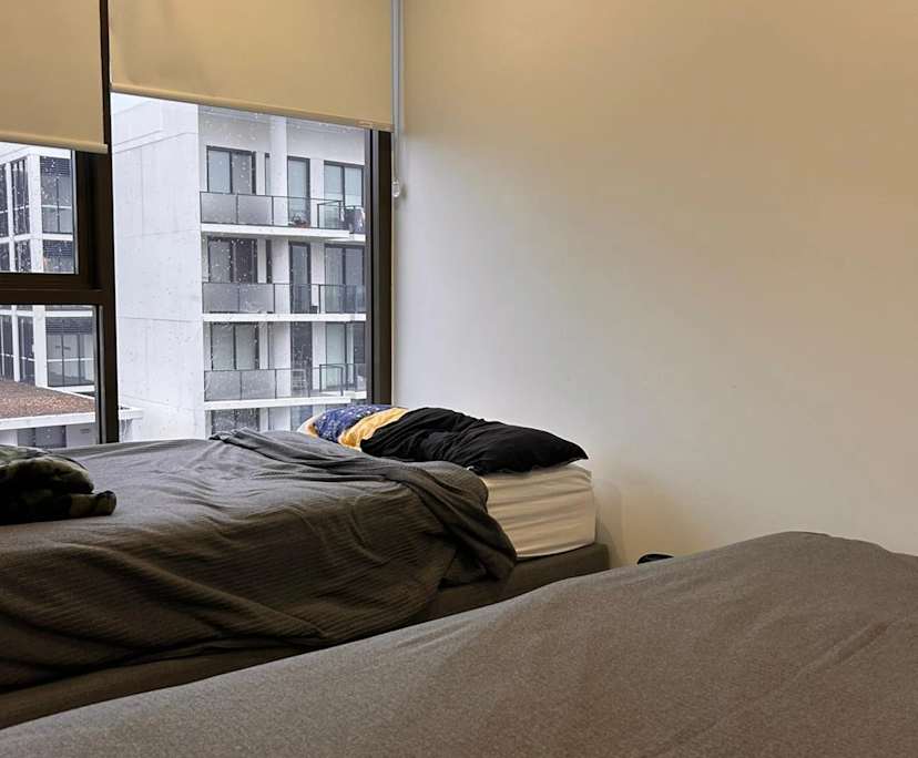 $300, Flatshare, 3 bathrooms, Mascot NSW 2020