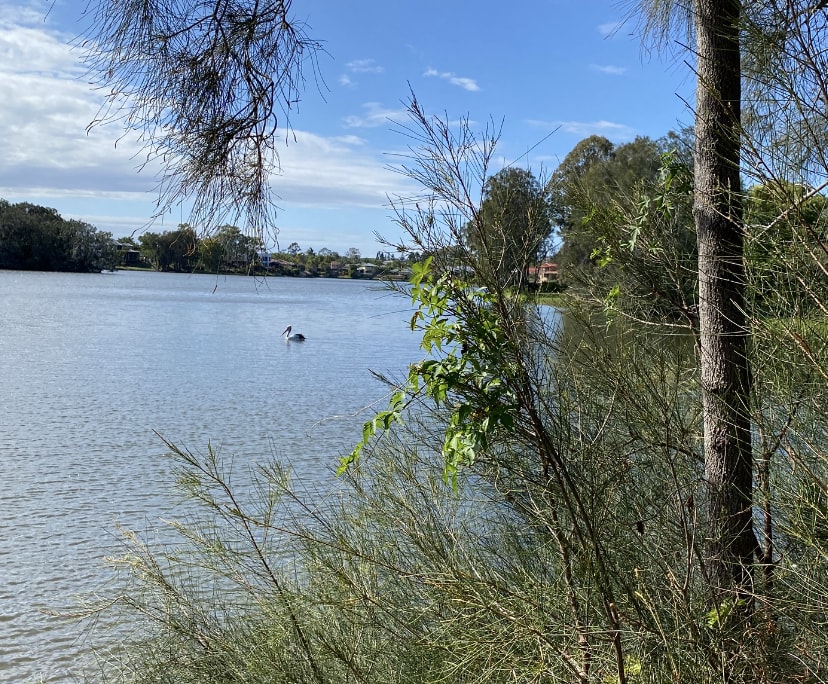 $335, Share-house, 2 rooms, Robina QLD 4226, Robina QLD 4226