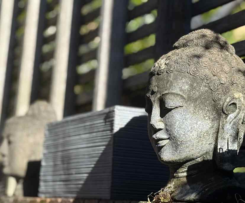 $450, Share-house, 3 bathrooms, Surry Hills NSW 2010