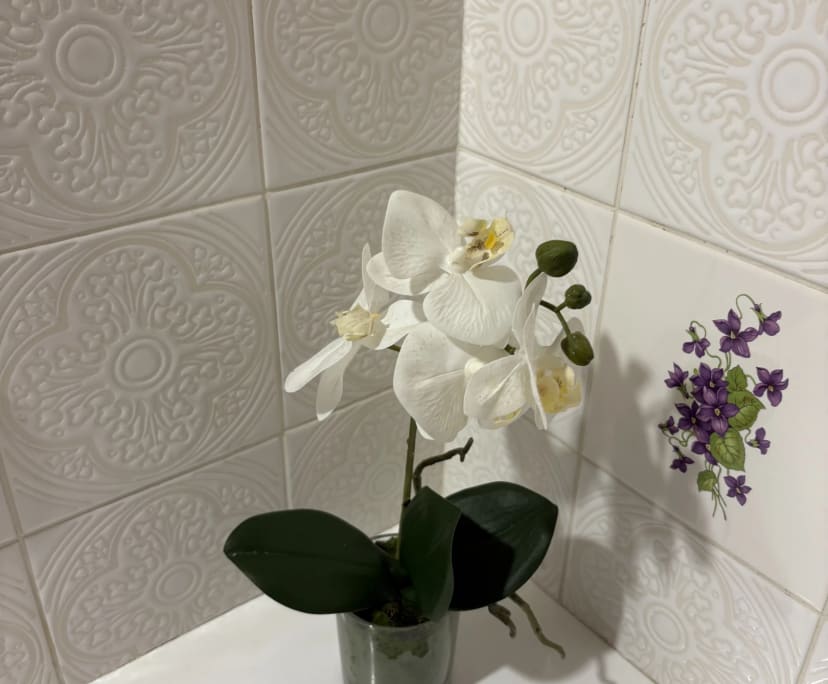 $300, Share-house, 2 rooms, Dromana VIC 3936, Dromana VIC 3936