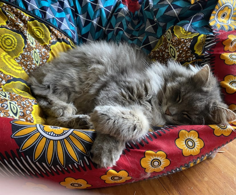 $270, Share-house, 2 bathrooms, Heidelberg Heights VIC 3081