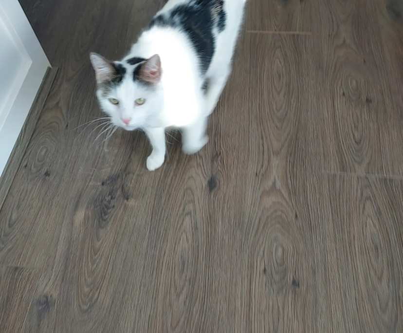 $350, Share-house, 3 bathrooms, Seaford VIC 3198