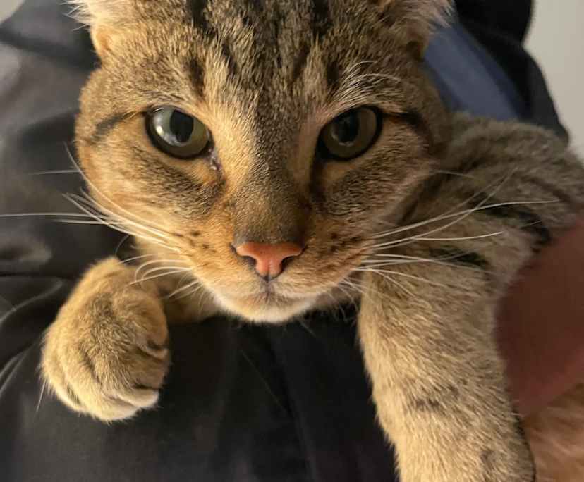 $300, Share-house, 2 bathrooms, Port Kembla NSW 2505