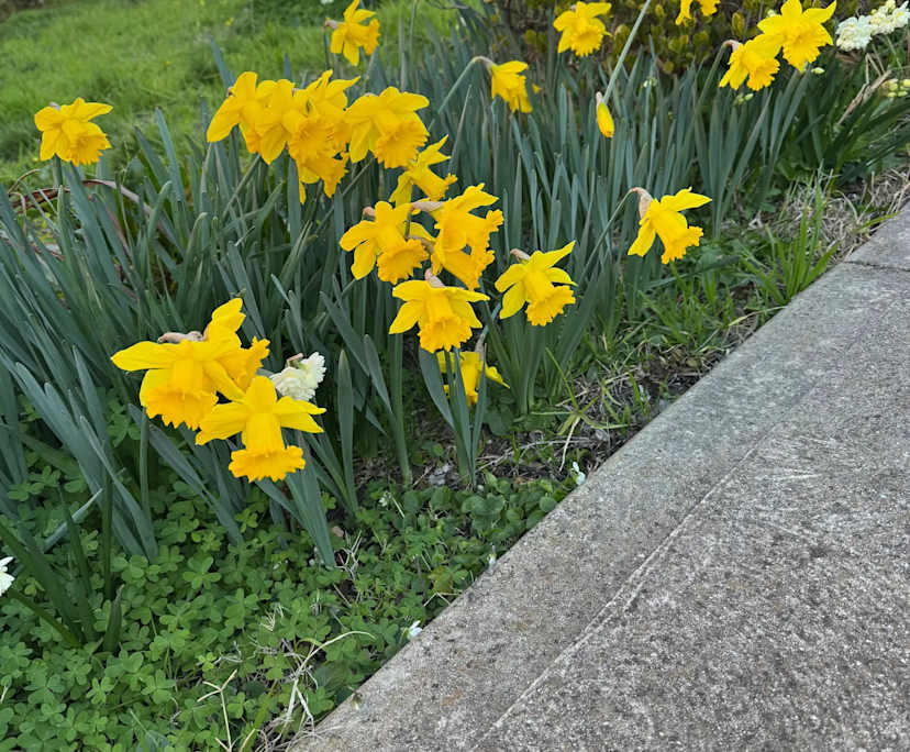 $240-250, Share-house, 3 rooms, Sunshine West VIC 3020, Sunshine West VIC 3020