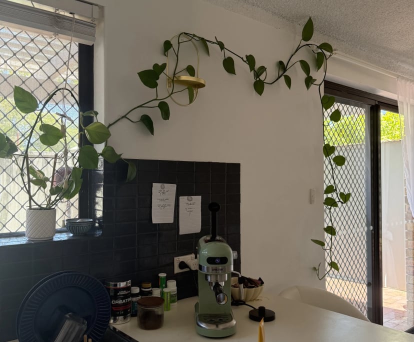 $350, Share-house, 3 bathrooms, Nedlands WA 6009