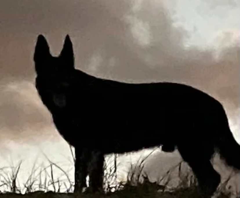 $400, Share-house, 3 bathrooms, Marcus Beach QLD 4573