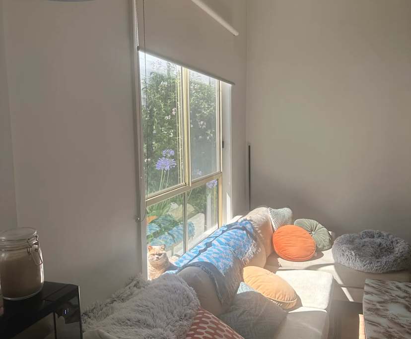 Room in a share house