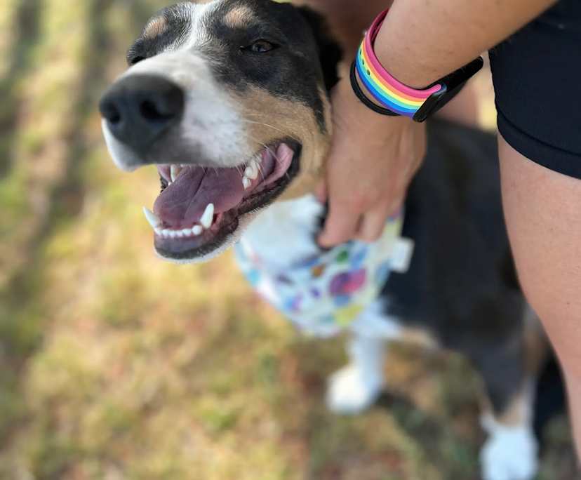 $300, Share-house, 4 bathrooms, Thurgoona NSW 2640