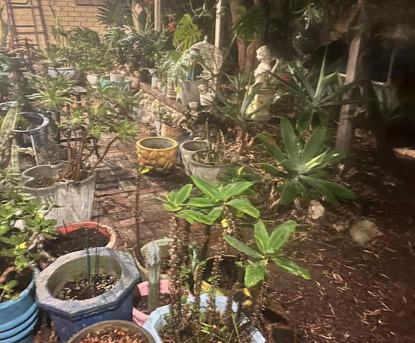 $350, Share-house, 4 bathrooms, Fremantle WA 6160