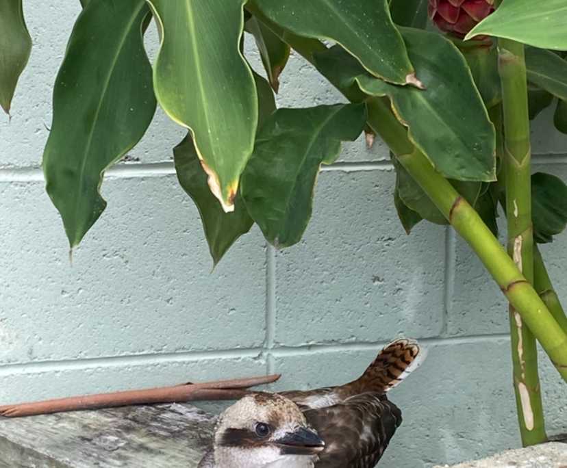 $280, Share-house, 3 bathrooms, Burleigh Heads QLD 4220