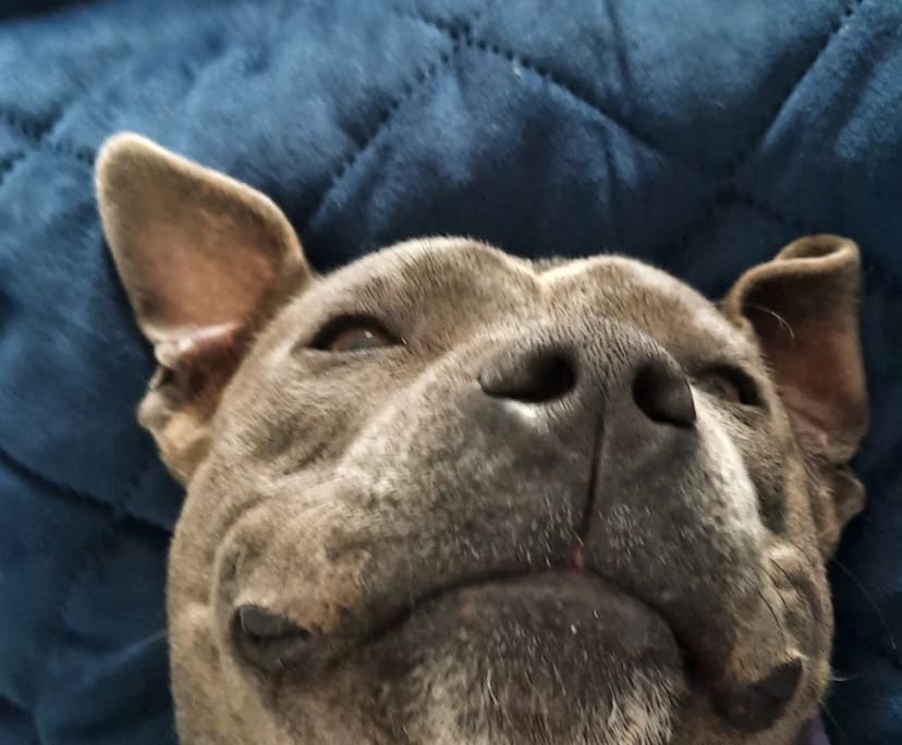 $300, Share-house, 5 bathrooms, Mooroobool QLD 4870