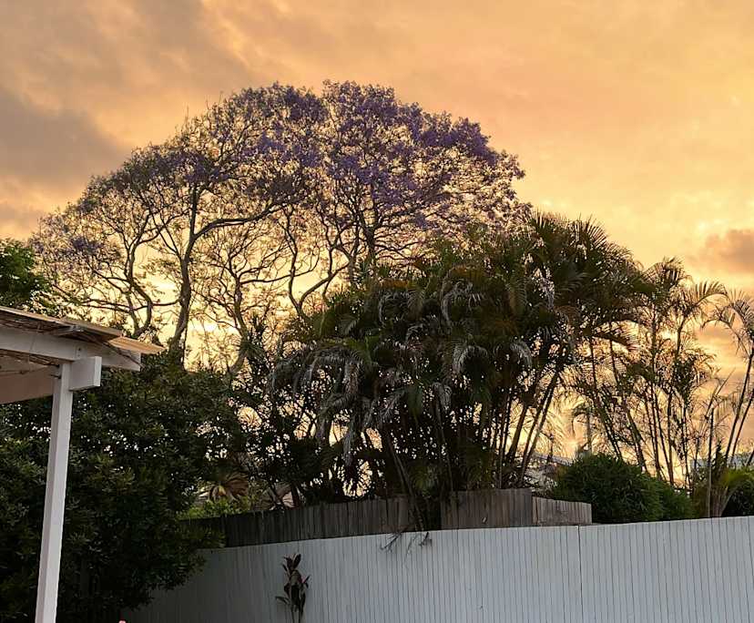 $600, Share-house, 3 bathrooms, Buderim QLD 4556