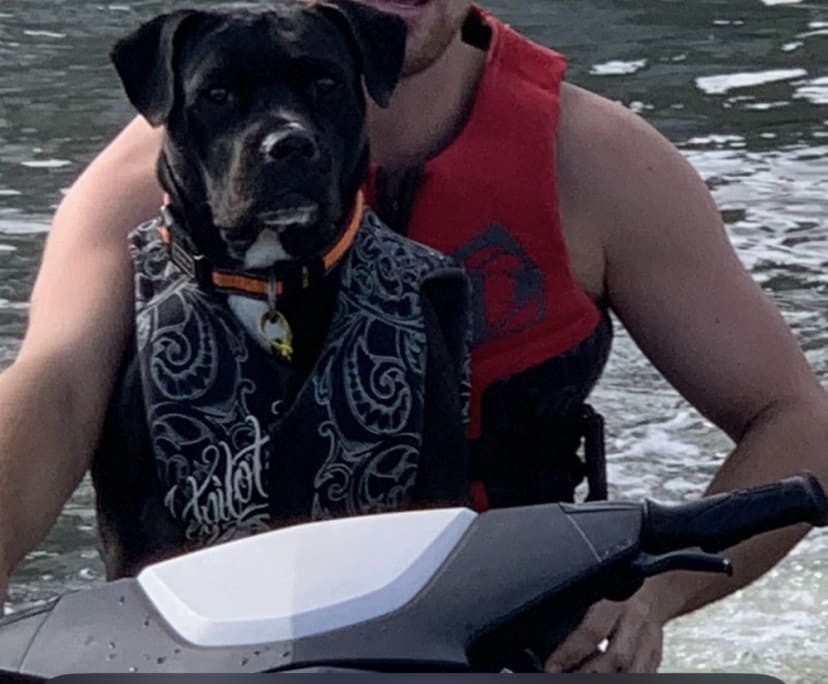 $300, Share-house, 4 bathrooms, Worongary QLD 4213