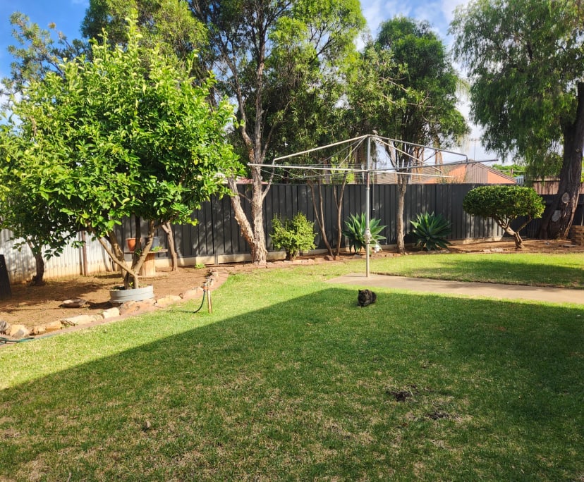 Student for Rent in Gepps Cross, Adela...