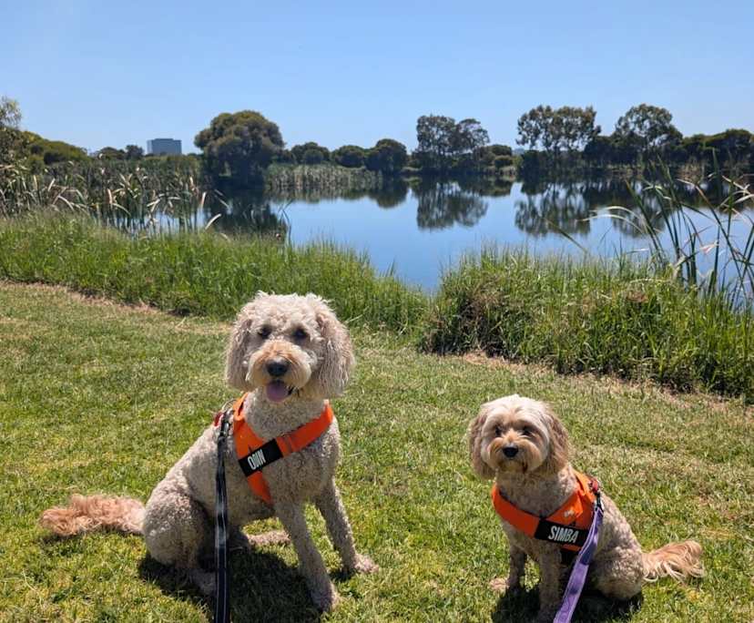 $420, Share-house, 4 bathrooms, Heathridge WA 6027