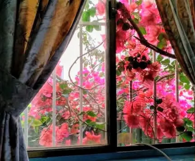 Homestay