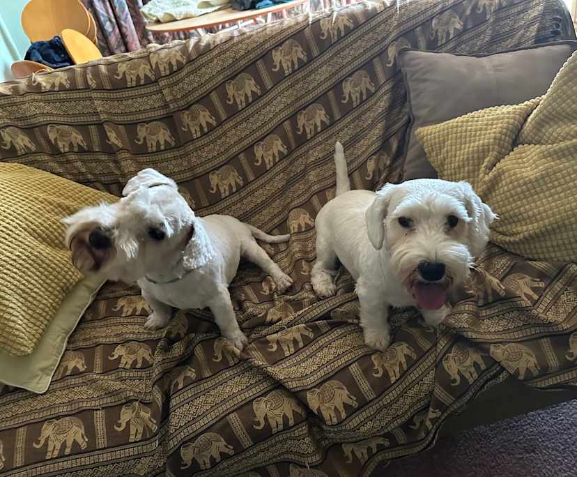 $220, Share-house, 3 bathrooms, Altona Meadows VIC 3028