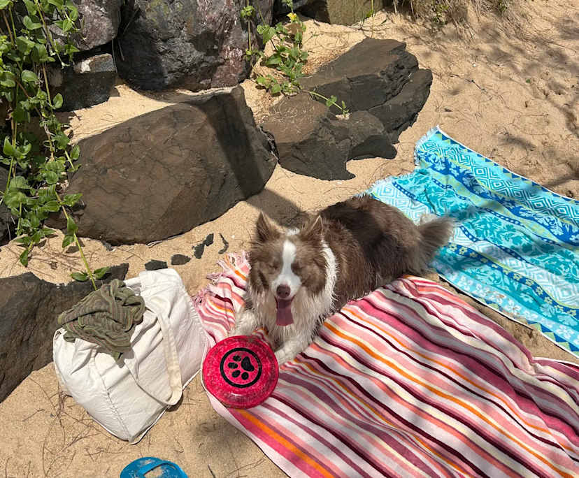 $300, Flatshare, 2 bathrooms, Toowong QLD 4066