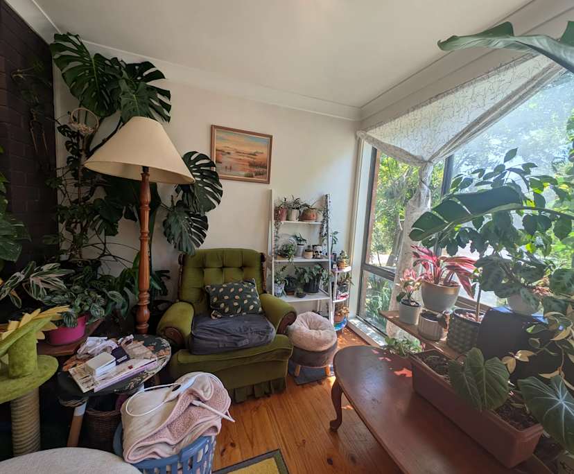 $300, Share-house, 3 bathrooms, Downer ACT 2602