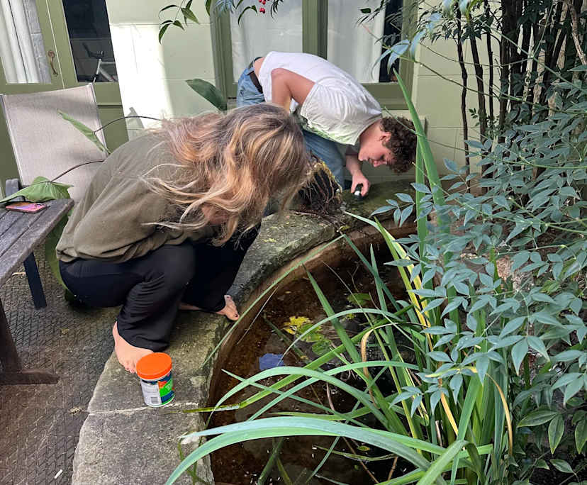 $360, Share-house, 5 bathrooms, Surry Hills NSW 2010