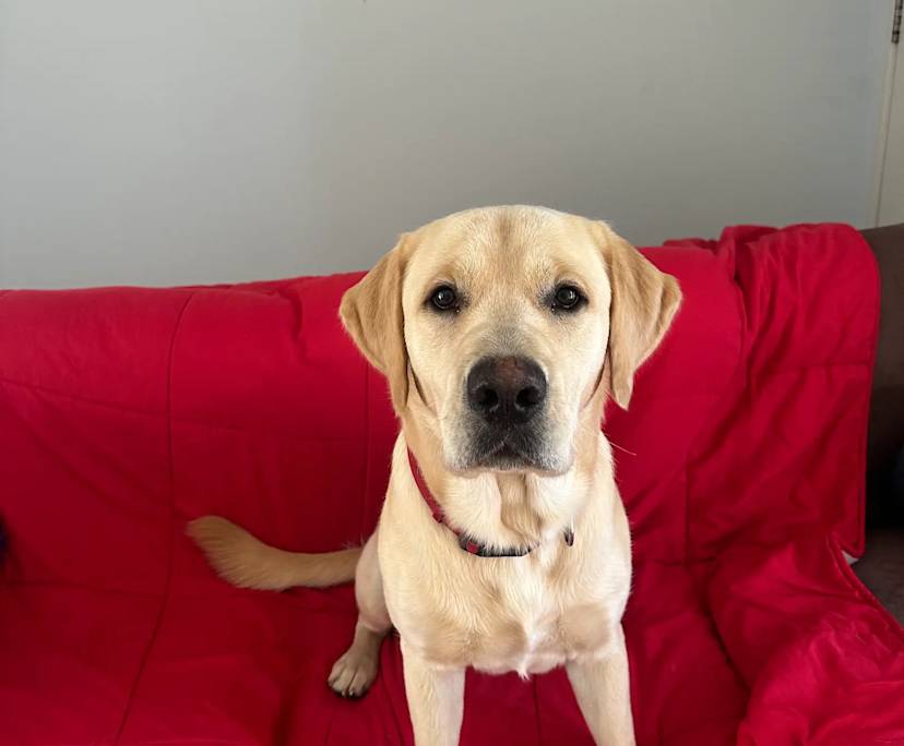 $350, Share-house, 3 bathrooms, Beenleigh QLD 4207