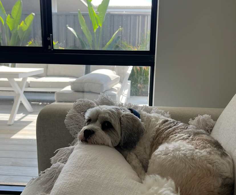 $300, Share-house, 4 bathrooms, Ellenbrook WA 6069