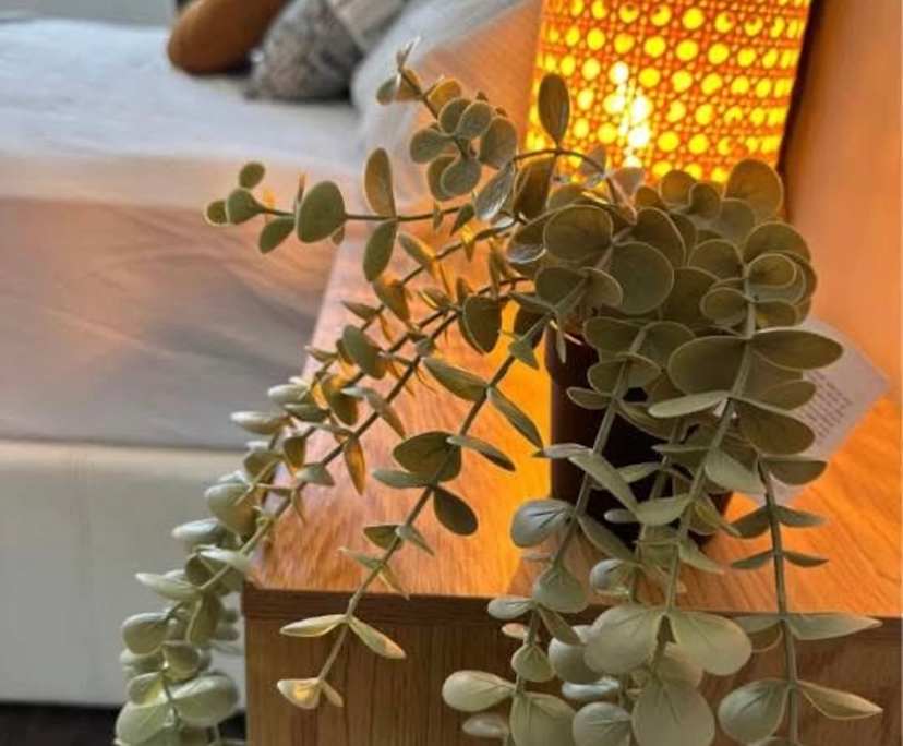 $300-350, Share-house, 2 rooms, Heidelberg West VIC 3081, Heidelberg West VIC 3081