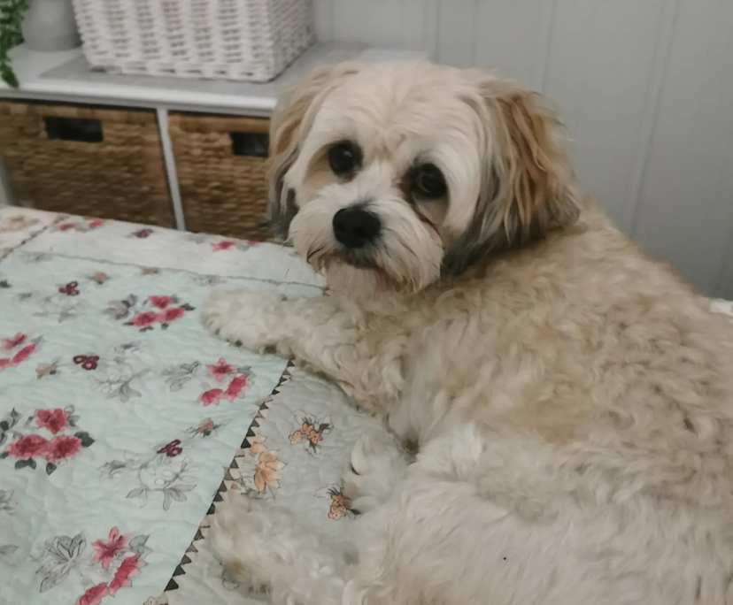 $300, Share-house, 4 bathrooms, Beenleigh QLD 4207