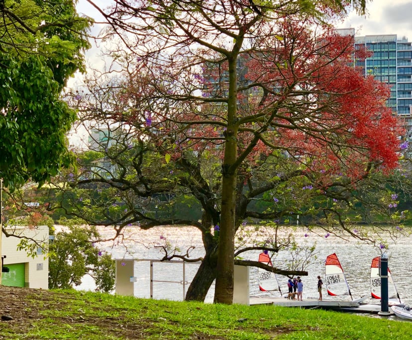 $310, Share-house, 3 bathrooms, West End QLD 4101