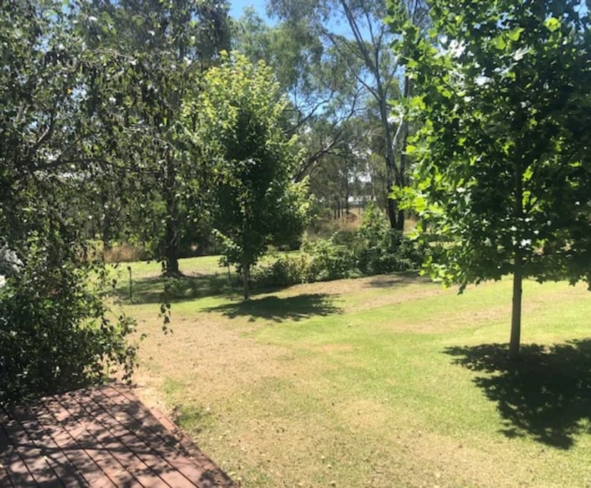 $250, Studio, 1 bathroom, Thurgoona NSW 2640
