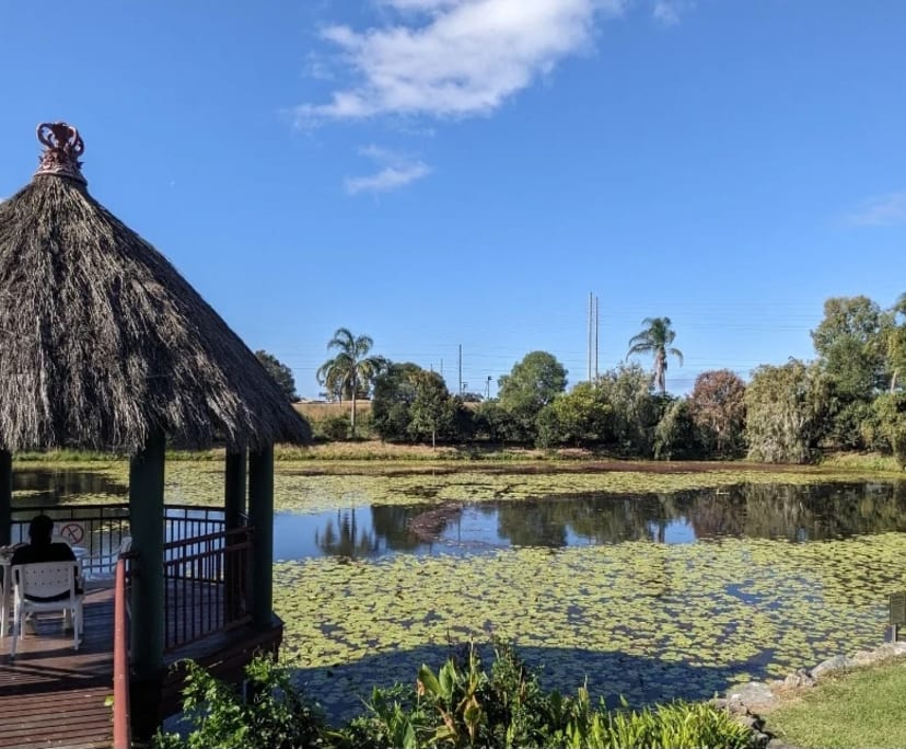 $300, Share-house, 3 bathrooms, Nerang QLD 4211